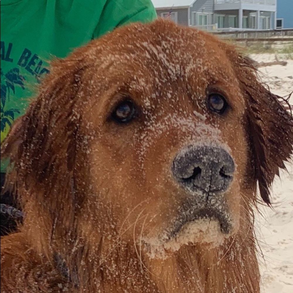 Meet your Posher, Madigan